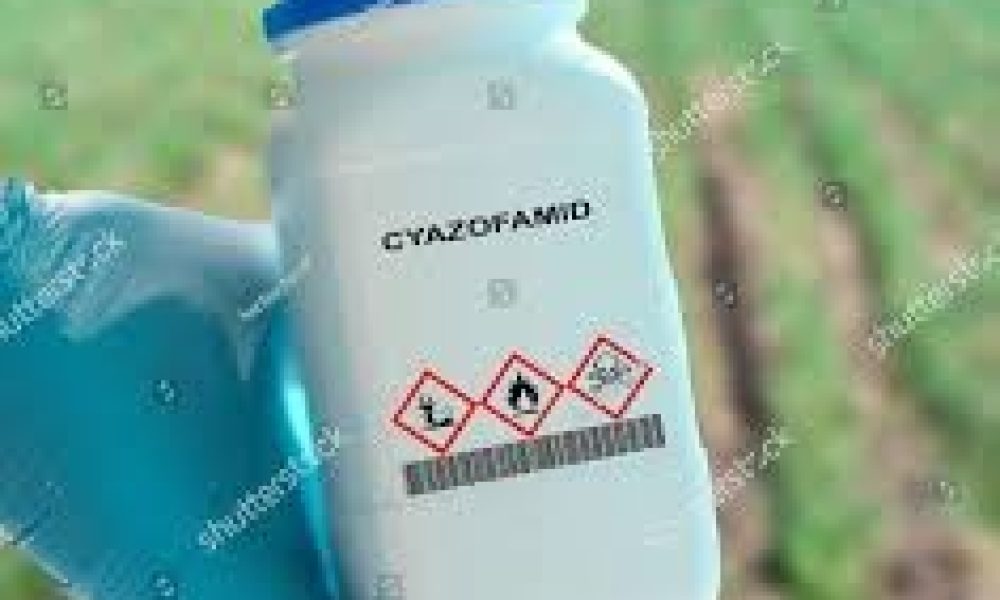 Cyazofamid Market