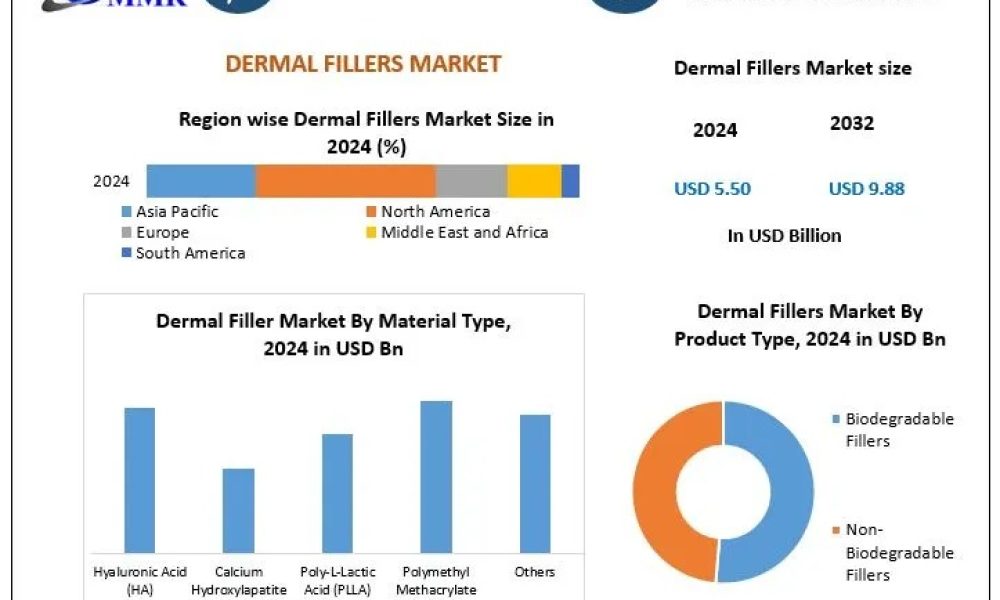 Dermal Fillers Market