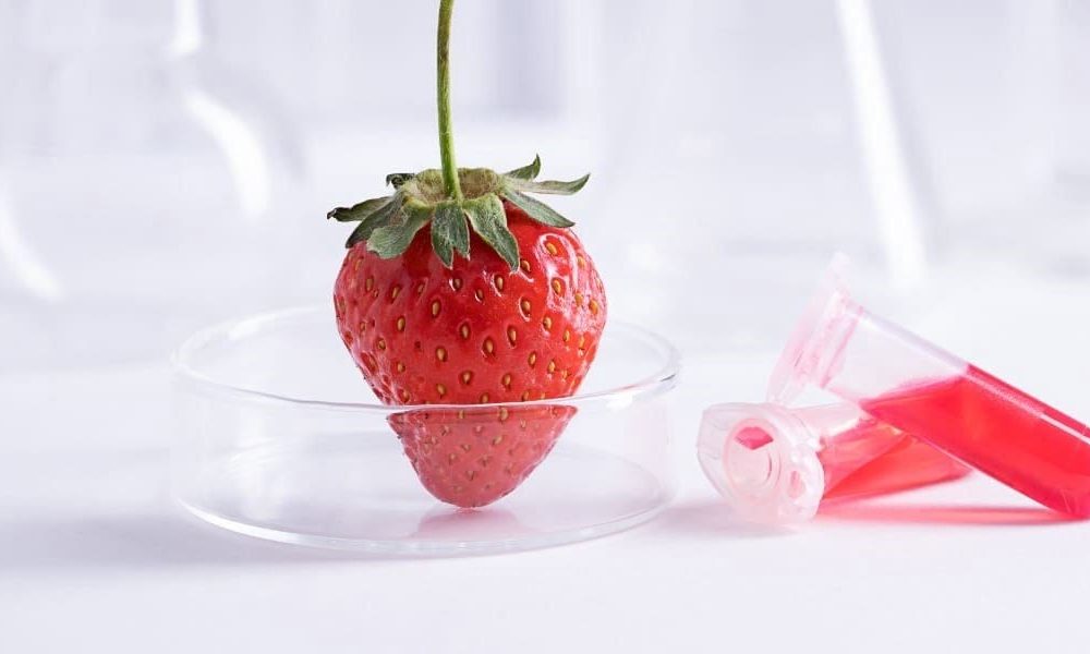 DNA Extraction Kits