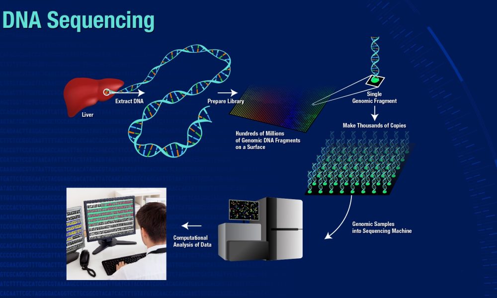 DNA Sequencing Market