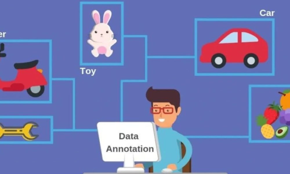 Data Annotation Software Market