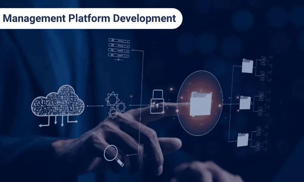 Data Management Platform (DMP) Software Market