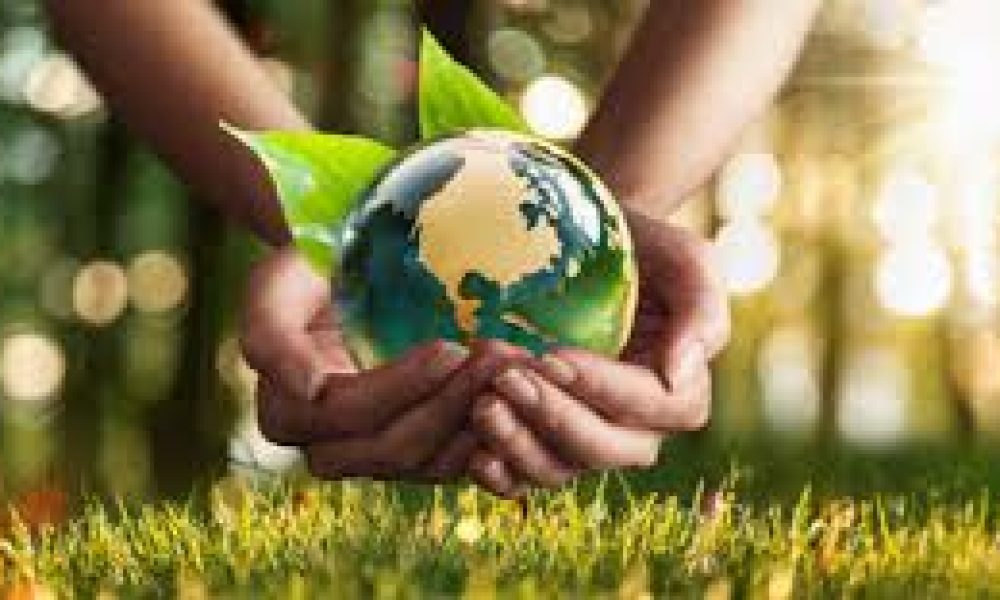 Decarbonization Service