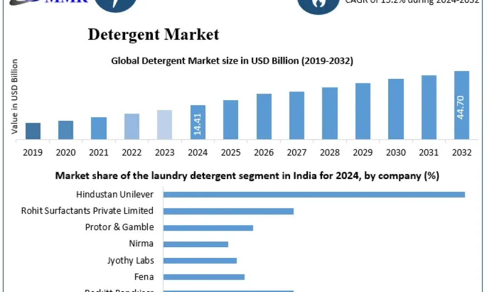 Detergent-Market-Snapshot