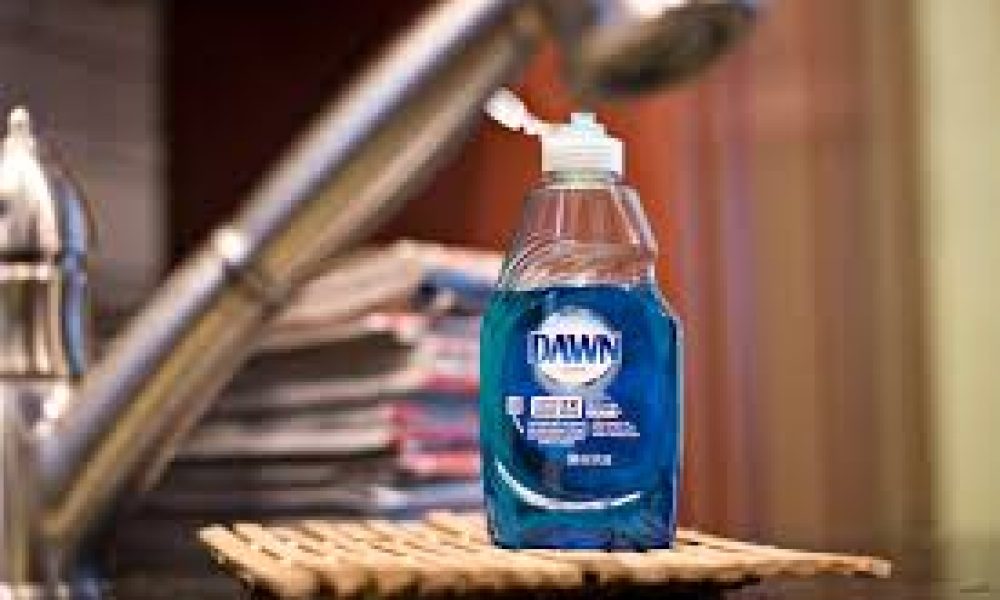 Dish Detergent