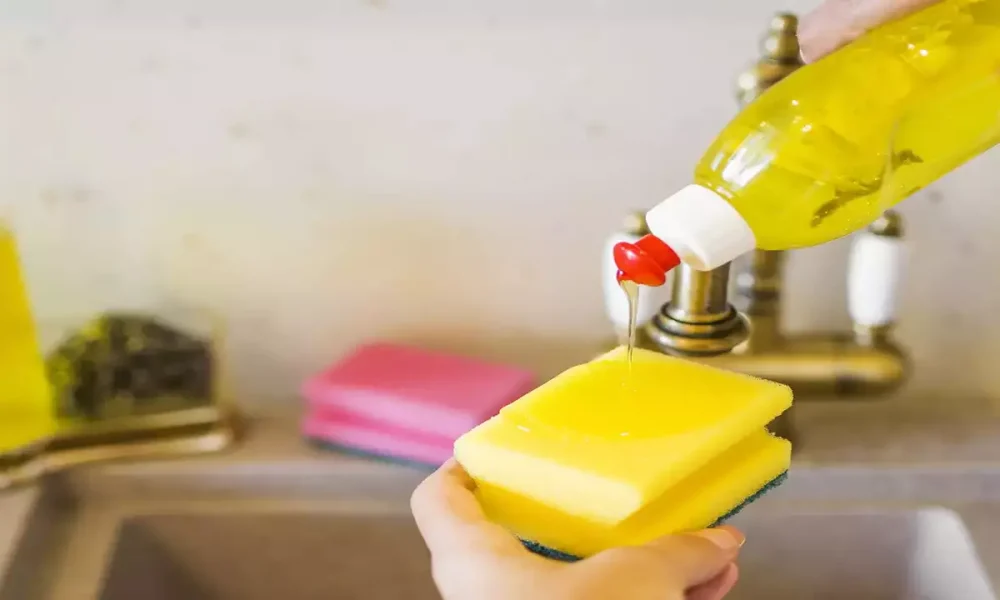 Dishwash Liquid Market