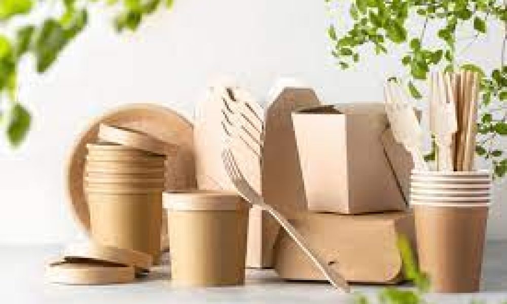 Disposable Food Packaging Market