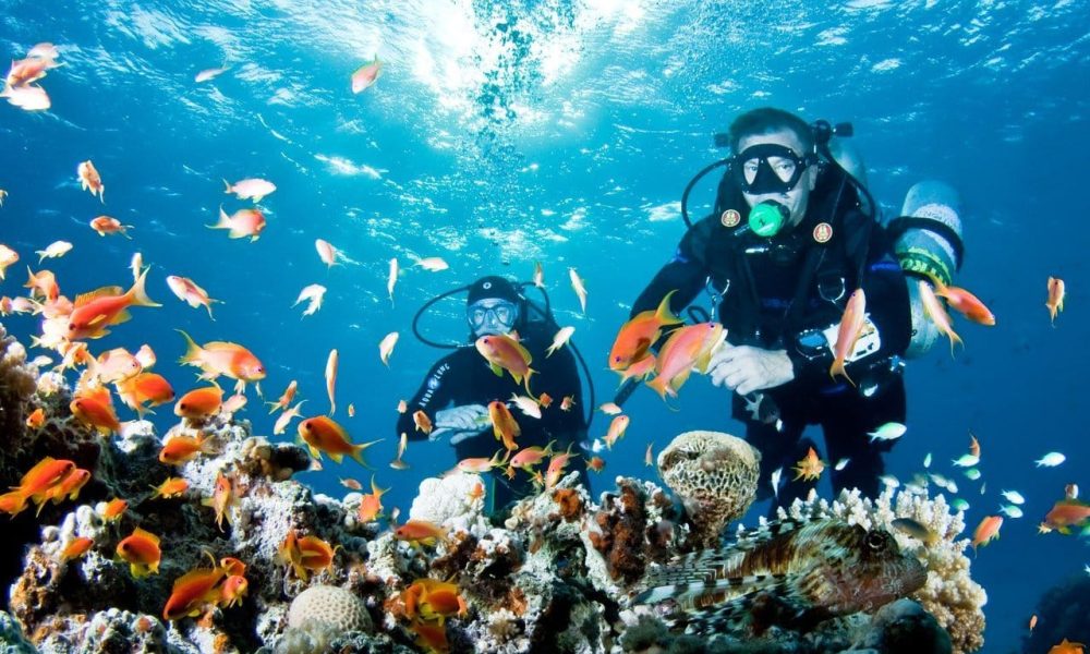 Diving Tourism Market