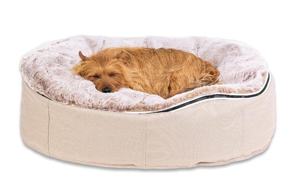 Dog Bed Market