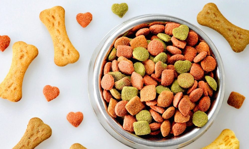 Dog Probiotic Chew Market chart with growth forecast and regional segmentation