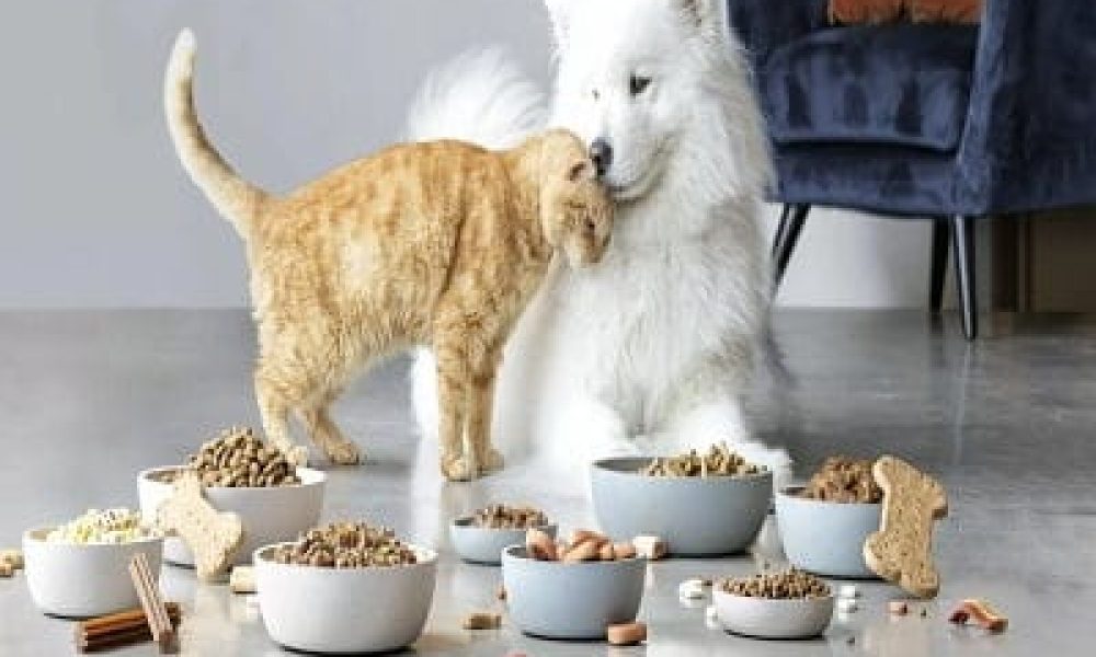Dog and Cat Food Market