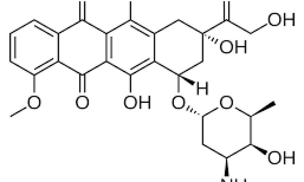 Doxorubicin Market