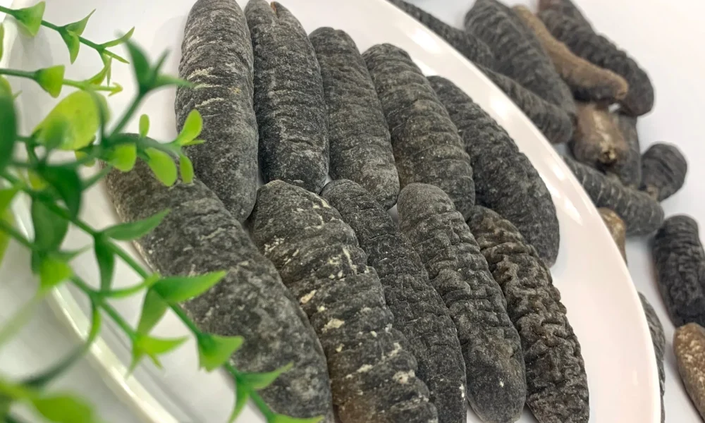 Dried Sea-cucumber
