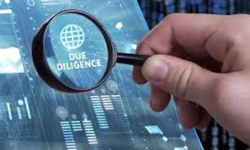 Due Diligence Investigation market