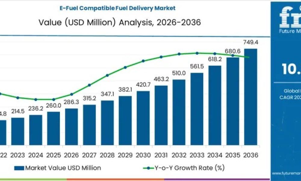 E-Fuel Compatible Fuel Delivery Market