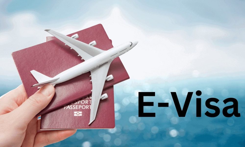 E-Visa Market