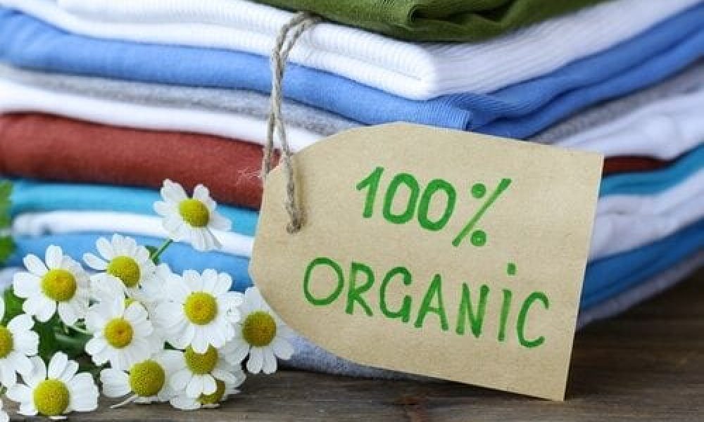Eco Apparel Market