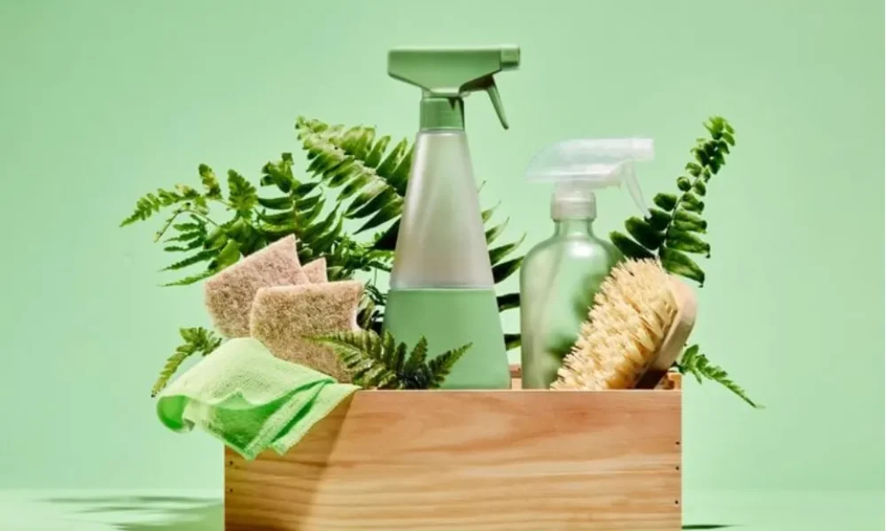 Eco-Friendly Household Cleaning Products