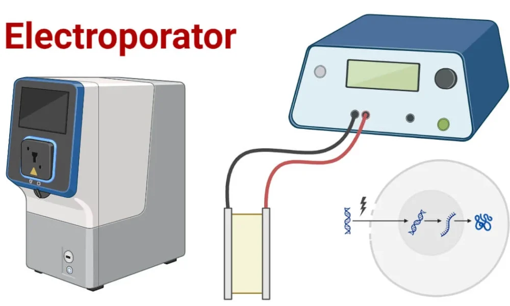 Electroporators Market