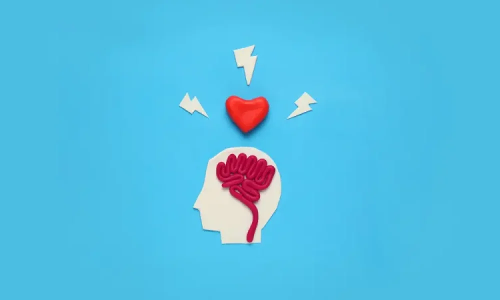 Emotional Intelligence Training Market