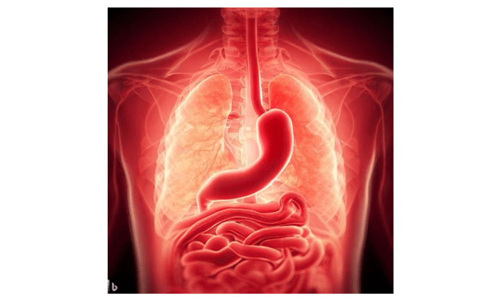 Enteral Nutrition Market Size to Reach $19.75 Billion by 2030, Growing by 8.9%