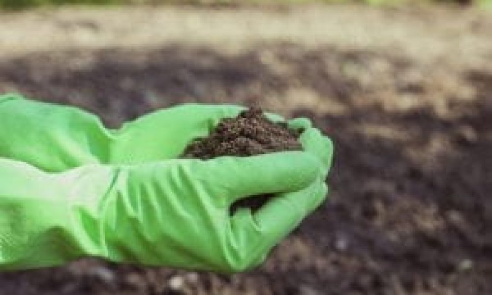 Environmental Field Sampling Services Market