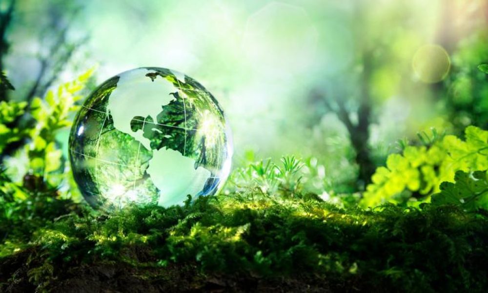 Environmental Liability Insurance Market is set to Fly High in Years to ...