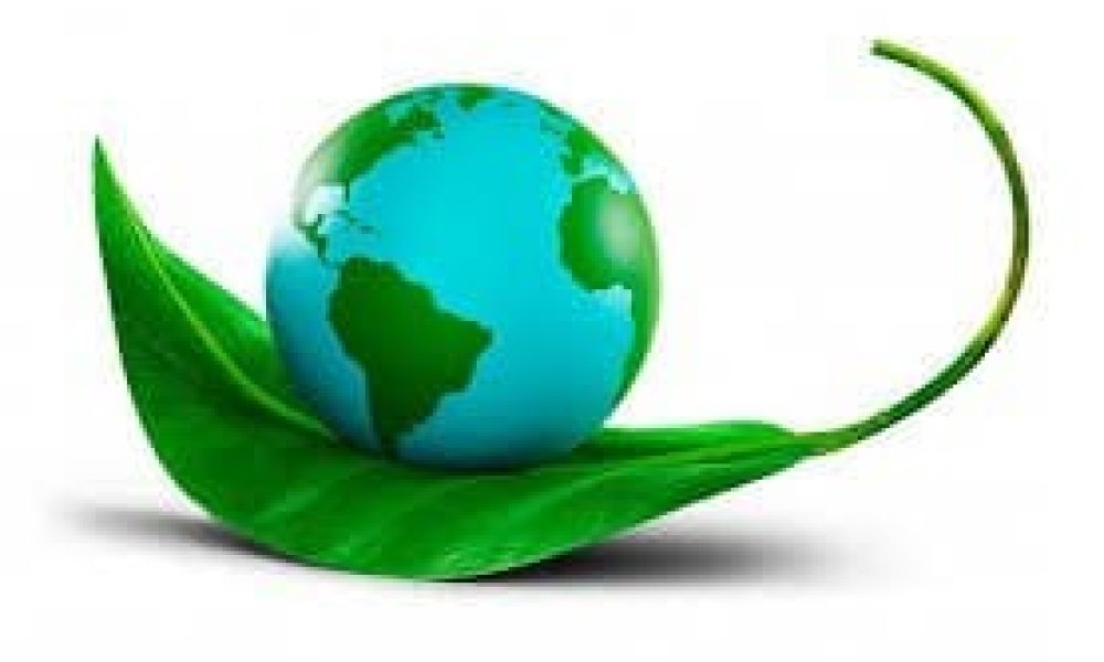 Environmental Risk Management