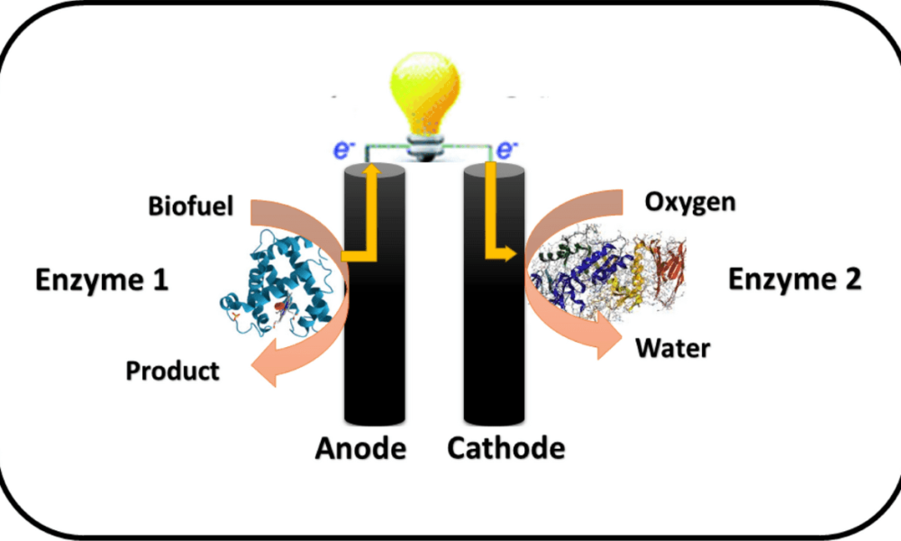 Enzymatic Biofuel Cells Market SWOT Analysis by Leading Key Players ...