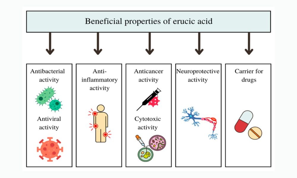 Erucic Acid Market