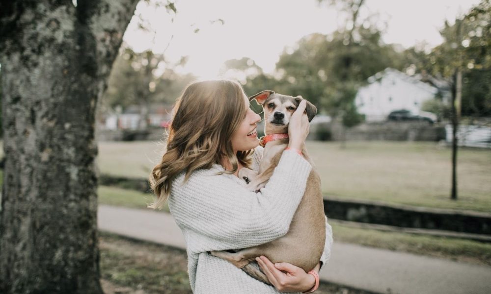 EverythingPetZone