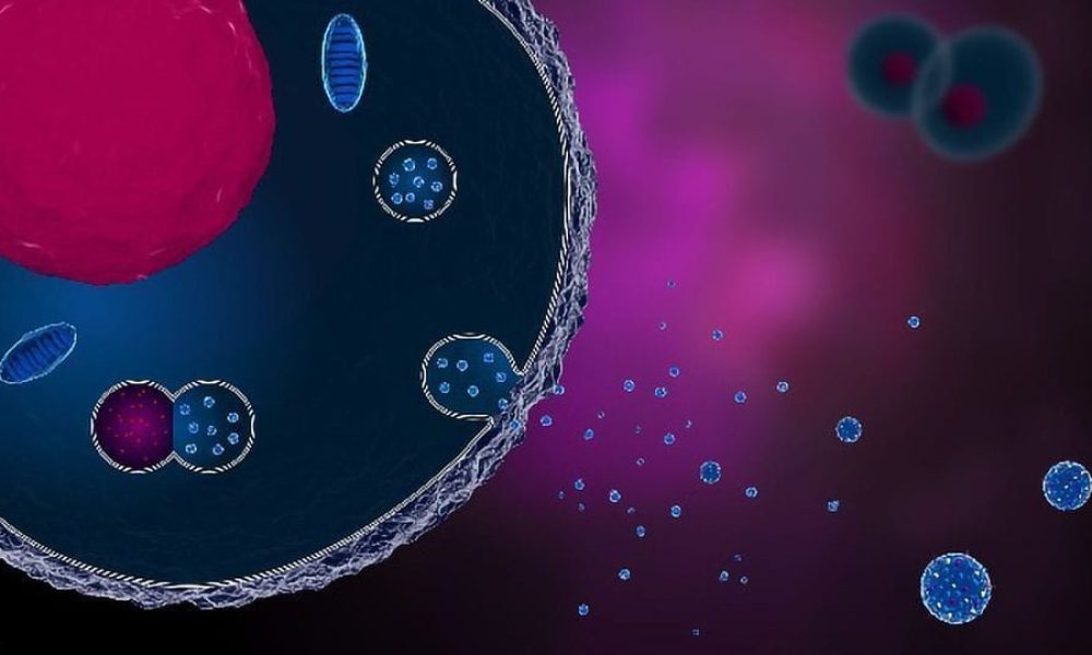 Exosomes Market