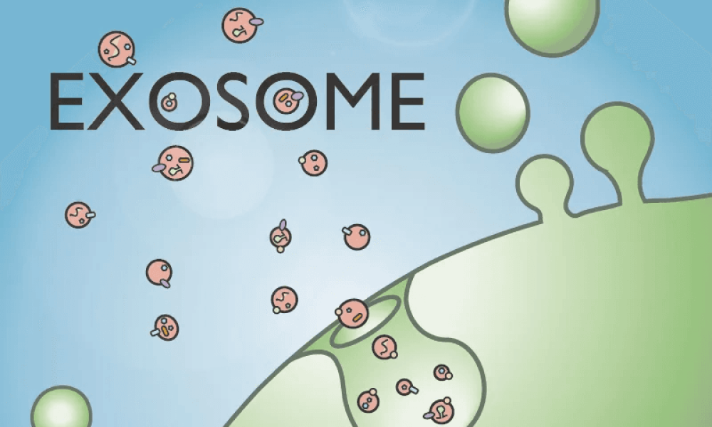 Exosomes