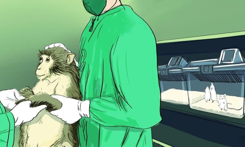Experimental Cynomolgus Monkey Market Worth Observing Growth: Envigo ...