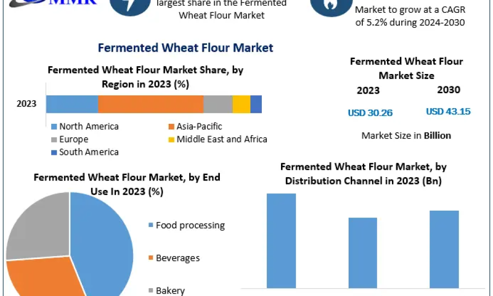Fermented Wheat Flour Market
