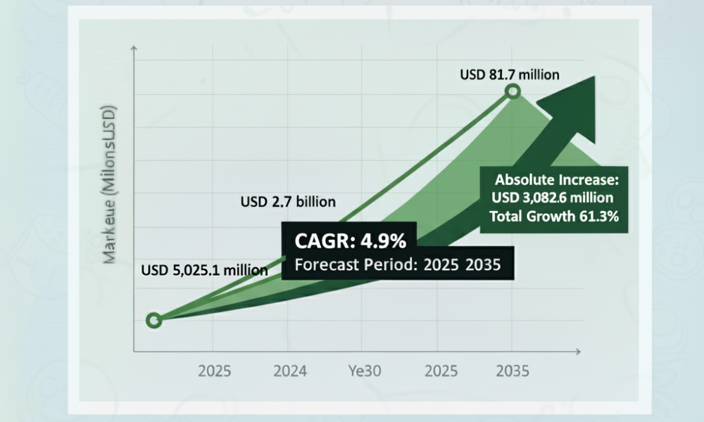 U.S. Ferrite Market
