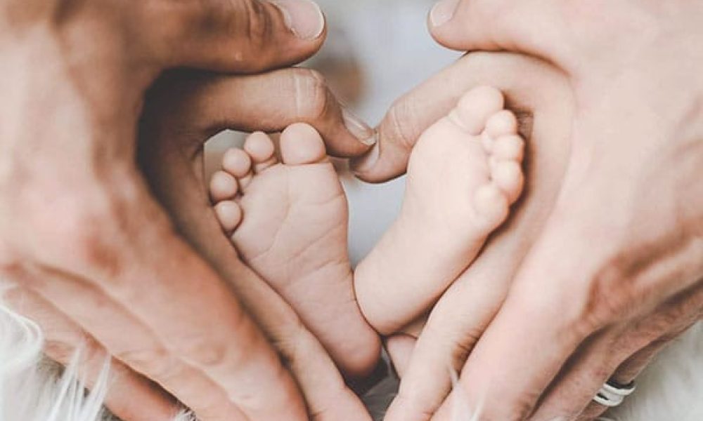 Fertility Services Market