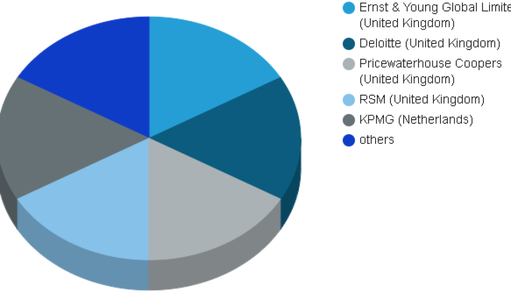 Financial Auditing Service Market