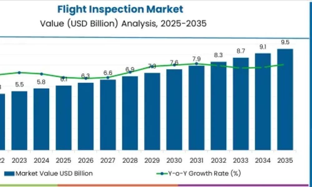 Flight Inspection Market