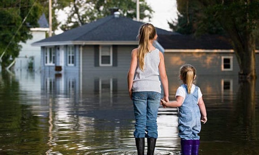 Flood Insurance Market
