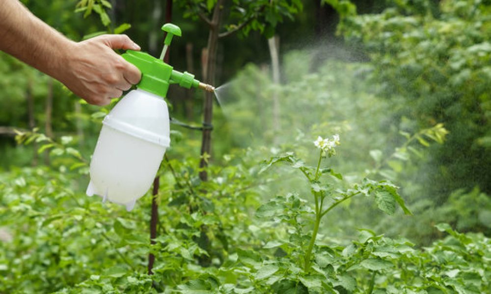 Foliar Fertilizer Market