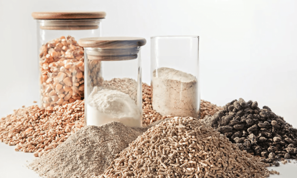 Food Premix Market
