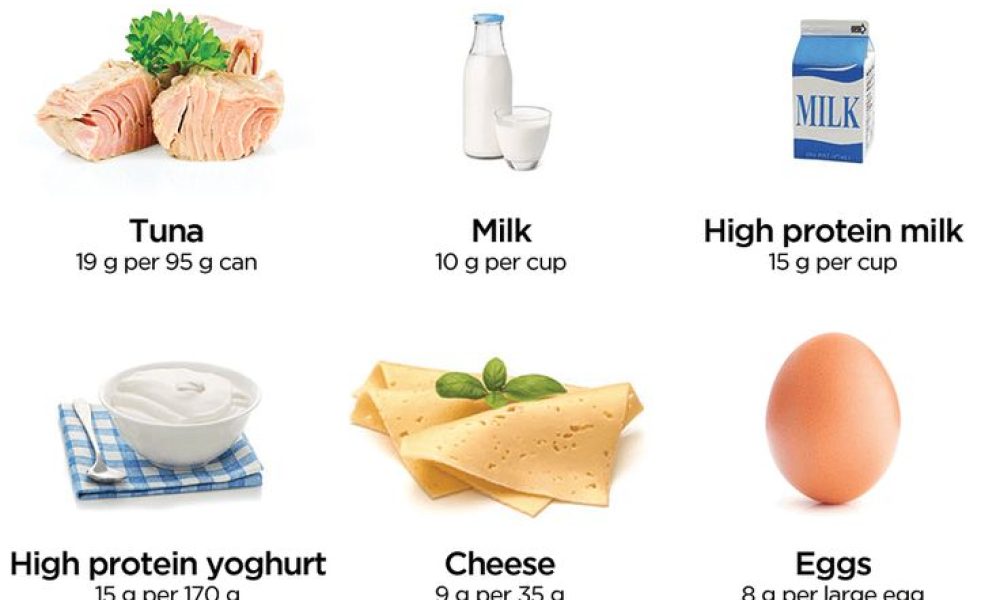 Food Protein Ingredient