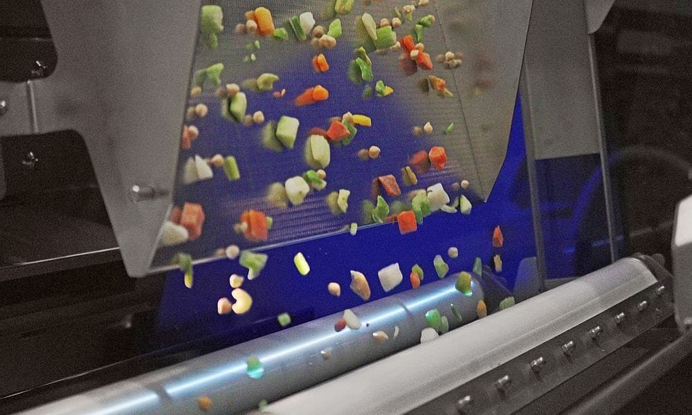 Food Sorting Machines Market Size