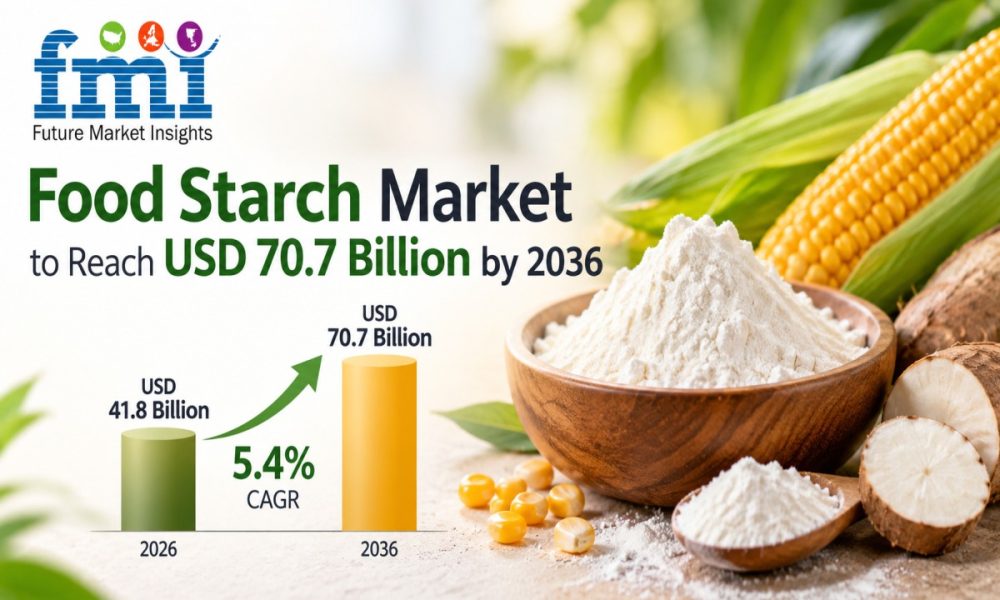 Food Starch Market