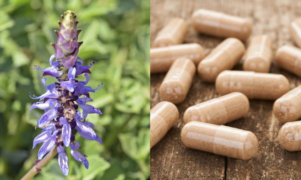 Forskolin Market