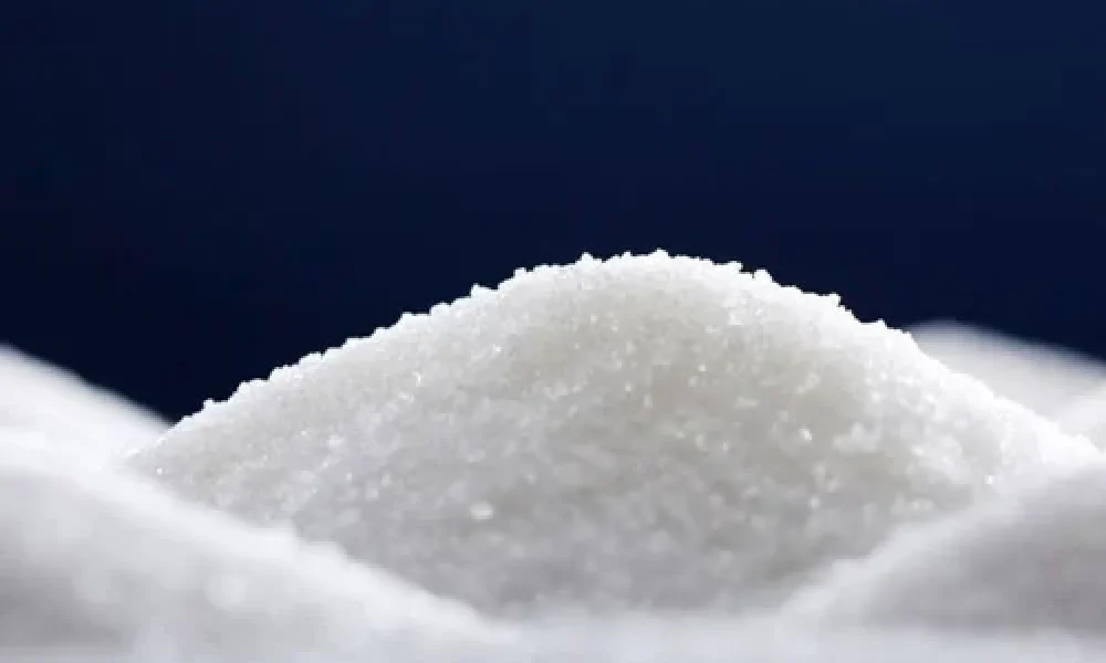 GMP Grade Sodium Chloride Market