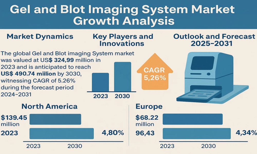 Gel and Blot Imaging System Market