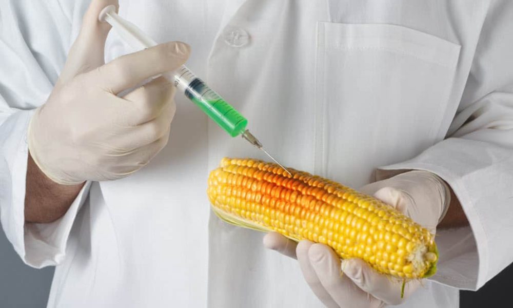 Genetically Modified Product Market