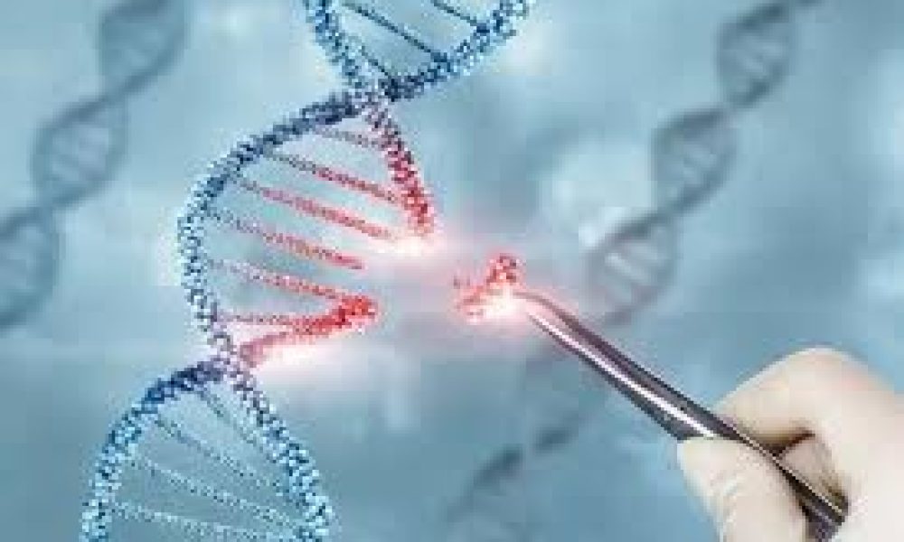 Genome Editing market